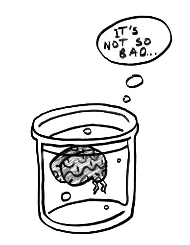 brain in a vat